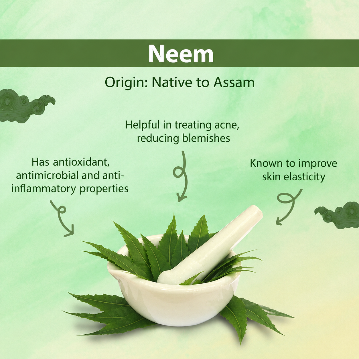 Organic Neem Soap for Acne & Clear Skin | Handmade Natural Soap
